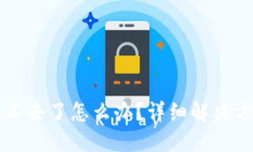 比特币钱包进不去了怎么办？详细解决方案与安全指南