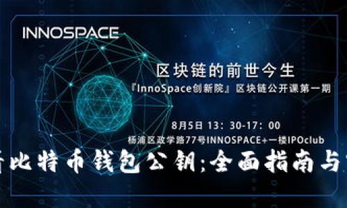 如何查看比特币钱包公钥：全面指南与实用技巧