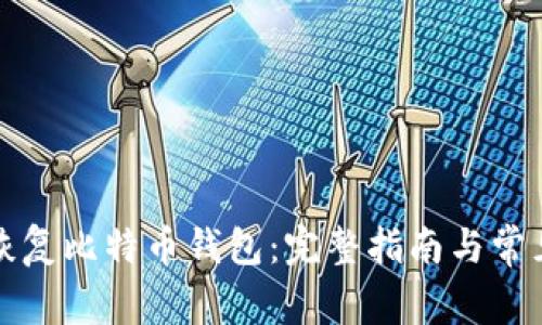 如何恢复比特币钱包：完整指南与常见问题