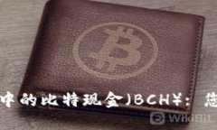 探索TP钱包中的比特现金（BCH）: 您的全面指南