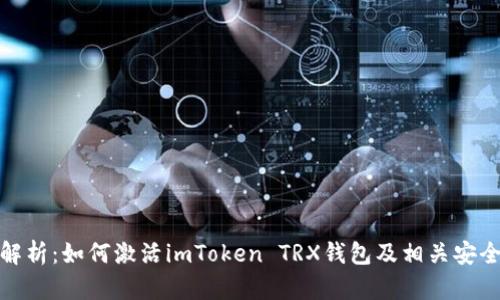 全面解析：如何激活imToken TRX钱包及相关安全策略