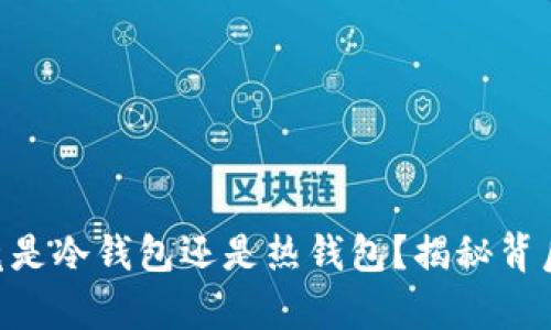  USDT资金账户究竟是冷钱包还是热钱包？揭秘背后的真相与安全策略