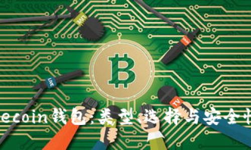 详解Litecoin钱包：类型、选择与安全性全指南