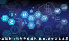 全面解析TP钱包开发团队：技术、优势与未来展望