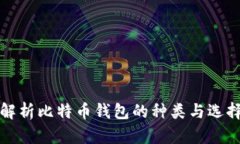 全面解析比特币钱包的种类与选择指南