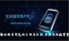 深入了解比特币钱包的公钥与私钥：保障你的数