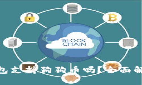 MetaMask钱包支持狗狗币吗？全面解析与使用指南