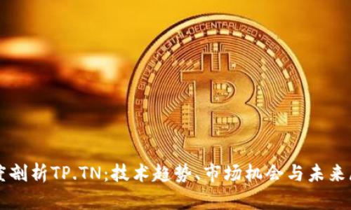 深度剖析TP.TN：技术趋势、市场机会与未来展望