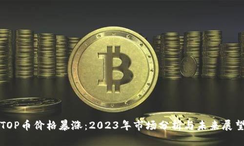TOP币价格暴涨：2023年市场分析与未来展望