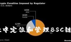 如何在TPWallet中定位和管理BSC链资产的详细指南