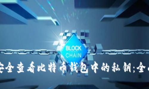 如何安全查看比特币钱包中的私钥：全面指南