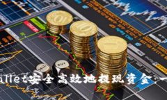 如何从TPWallet安全高效地提现资金：一份详细指南