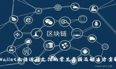 TPWallet无法进行支付的常见原因及解决方案解析