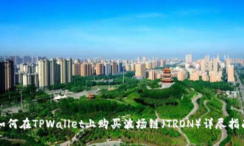 如何在TPWallet上购买波场链（TRON）详尽指南
