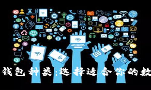 全面解析比特币钱包种类：选择适合你的数字货币存储方式