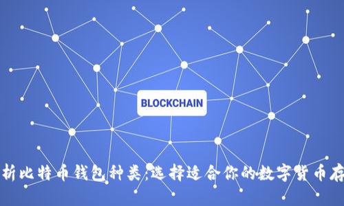 全面解析比特币钱包种类：选择适合你的数字货币存储方式