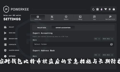 如何应对钱包比特币被盗后的紧急措施与长期防护指南