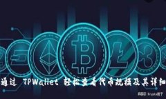 如何通过 TPWallet 轻松查看代币规模及其详细信息