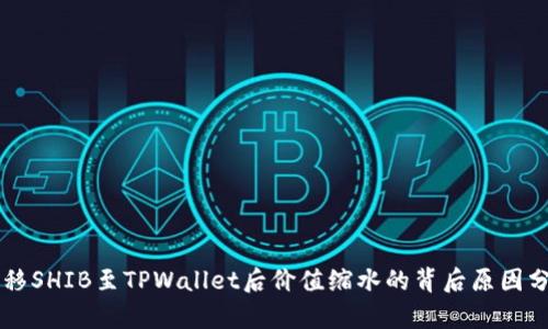 转移SHIB至TPWallet后价值缩水的背后原因分析