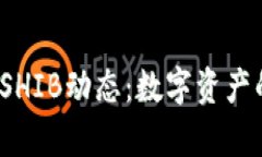 观察V神钱包中的SHIB动态：数字资产的投资与市场