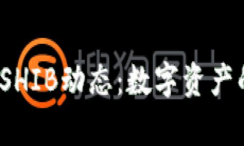观察V神钱包中的SHIB动态：数字资产的投资与市场变化