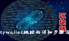 如何查看tpwallet地址的详细步骤与实用技巧