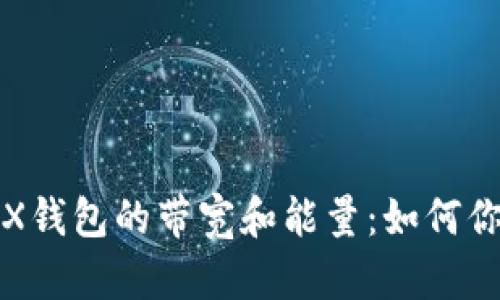 深入了解TRX钱包的带宽和能量：如何你的交易体验