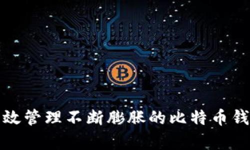 如何有效管理不断膨胀的比特币钱包数据