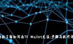  轻松了解如何为TP Wallet充值：步骤与技巧详解