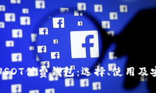 全面解析USDT付费钱包：选择、使用及安全性攻略