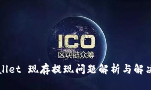 TPWallet 现存提现问题解析与解决方案