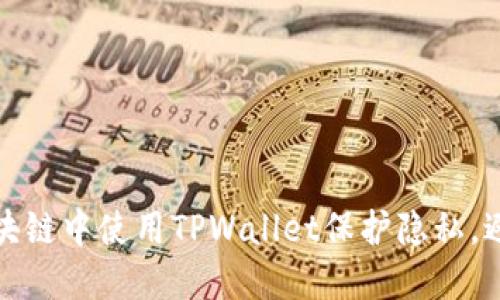 如何在区块链中使用TPWallet保护隐私，避免被追踪
