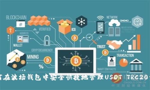 如何在波场钱包中安全快捷地管理USDT TRC20资产