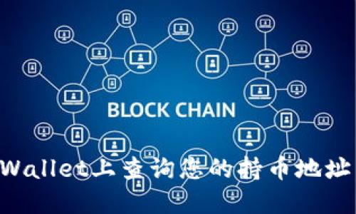 如何在TPWallet上查询您的持币地址：详细指南