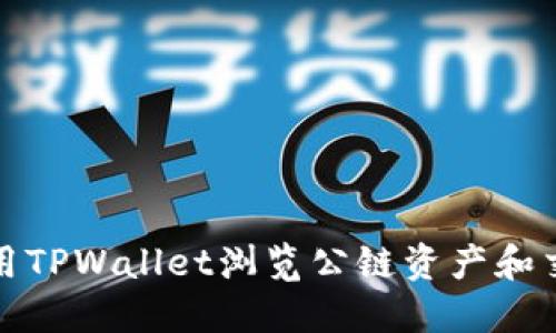 如何使用TPWallet浏览公链资产和交易信息