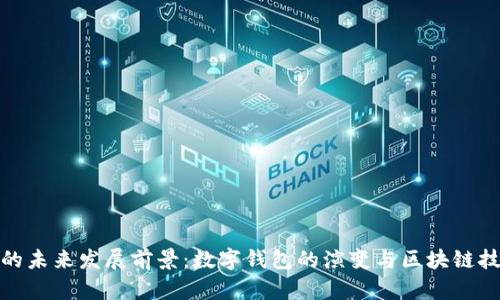 tpwallet的未来发展前景：数字钱包的演变与区块链技术的融合