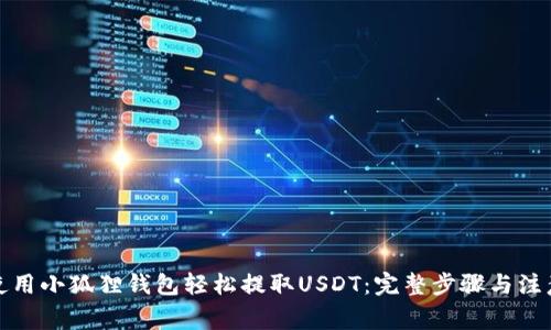 如何使用小狐狸钱包轻松提取USDT：完整步骤与注意事项