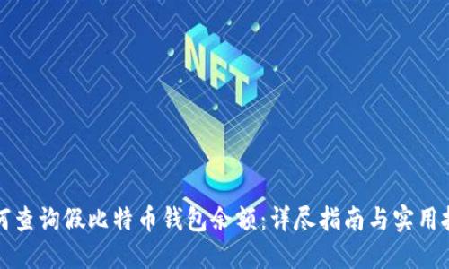 如何查询假比特币钱包余额：详尽指南与实用技巧