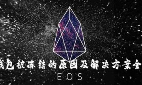 USDT钱包被冻结的原因及解决方案全面解析