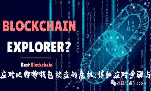 如何有效应对比特币钱包被盗的危机：详细应对步骤与预防措施