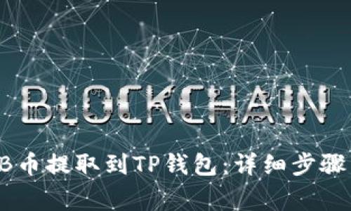 如何将SHIB币提取到TP钱包：详细步骤与注意事项