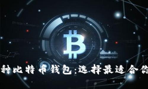 深度解析六种比特币钱包：选择最适合你的存储方式