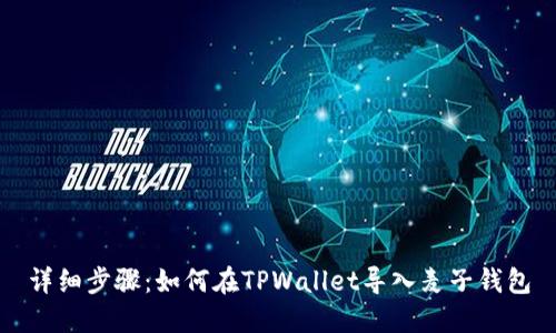 详细步骤：如何在TPWallet导入麦子钱包