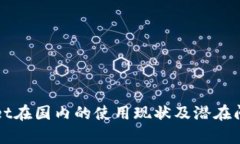 TPWallet在国内的使用现状及潜在问题解析