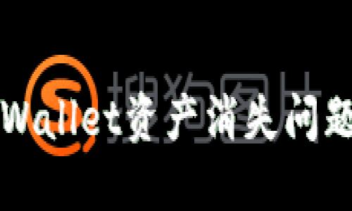 如何解决TPWallet资产消失问题的全面指南