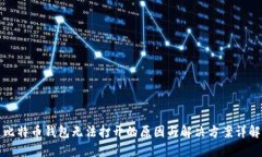 比特币钱包无法打开的原因与解决方案详解