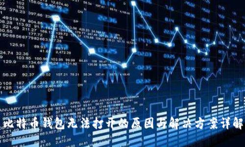 比特币钱包无法打开的原因与解决方案详解