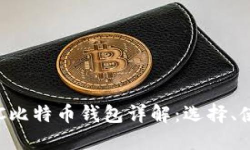 2023年最安全的ELEC比特币钱包详解：选择、使用与安全防护全攻略