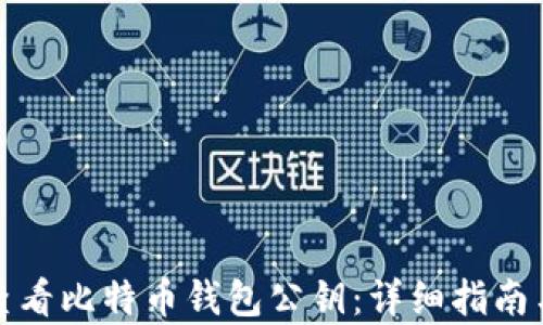 
如何有效查看比特币钱包公钥：详细指南与实用技巧