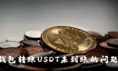:解决货币钱包转账USDT未到账的问题：全面指南